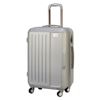 Picture of BOSTON  20'' TROLLEY SUITCASE 6306 Silver