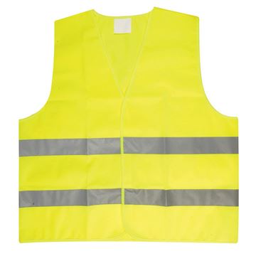 Immagine di  2591  VEST